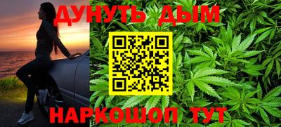 индика Ливны