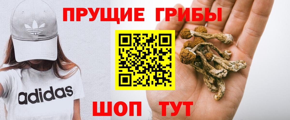 Еманжелинск  Псилоцибиновые грибы мухоморы  Вход с VPN  Псилоцибиновые грибы MAGIC MUSHROOMS 